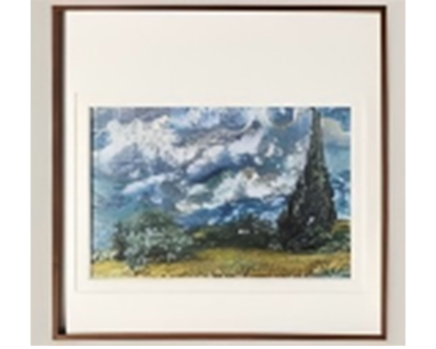 Cypress trees in the wheat field