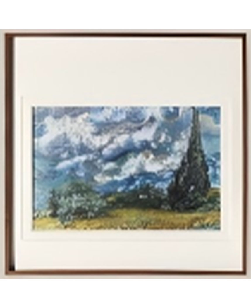 Cypress trees in the wheat field1
