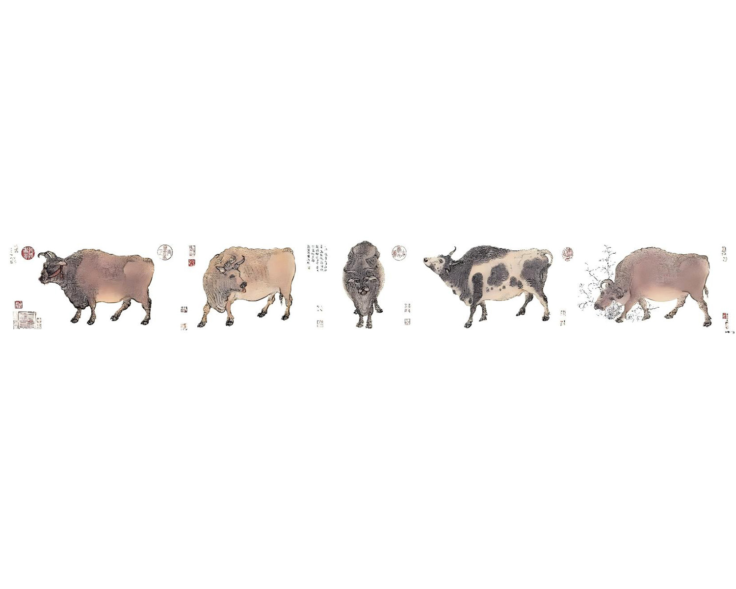 Five Oxen