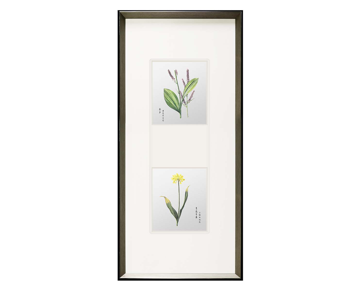 Redoute Flower Series - Yellow Allium & Veratrum