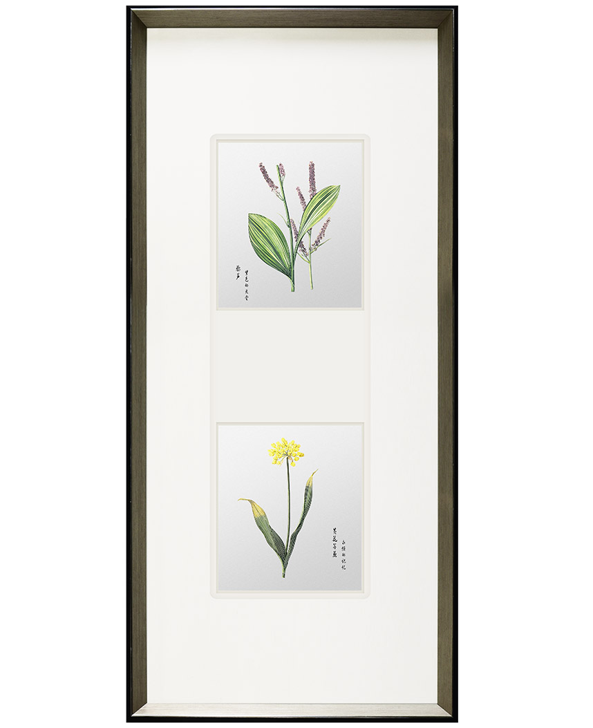 Redoute Flower Series - Yellow Allium & Veratrum1