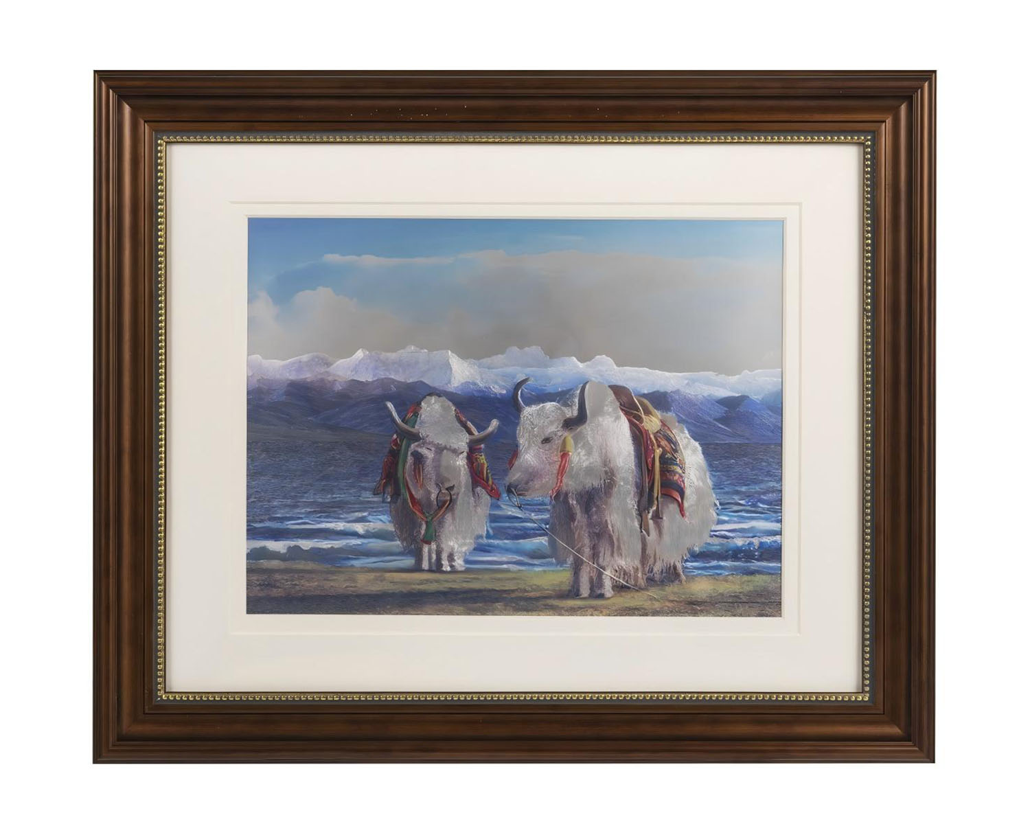 yak